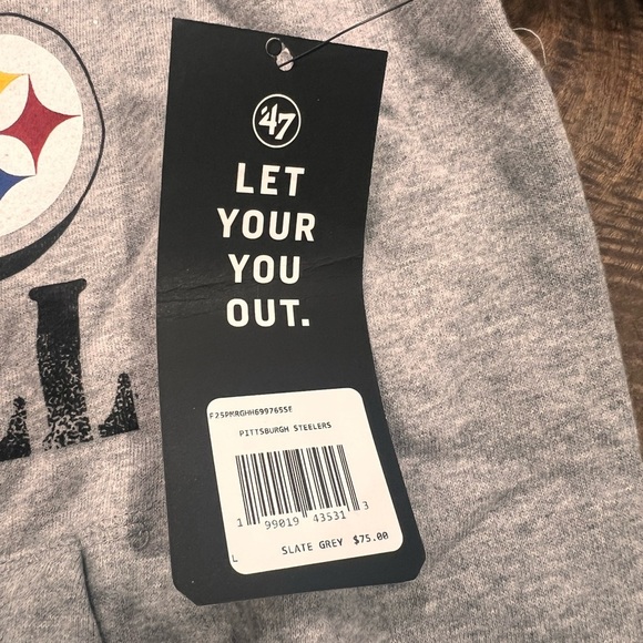 NWT Men's '47 Gray Pittsburgh Steelers Regional Headline Pullover Hoodie Size Lg - Picture 4 of 6